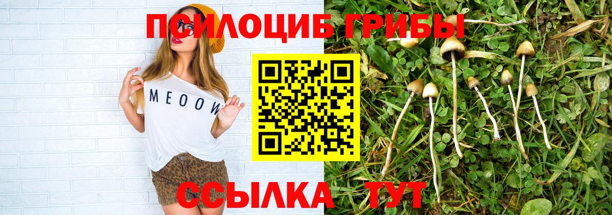 Галлюциногенные грибы MAGIC MUSHROOMS  Вход с VPN  Псилоцибиновые грибы GOLDEN TEACHER  Котлас 